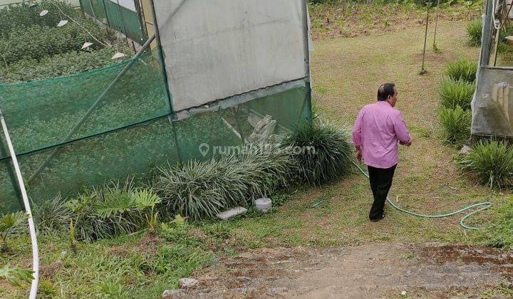 Dijual Tanah Kebun Bunga Dan Tanamannya Pacet Mojokerto  1