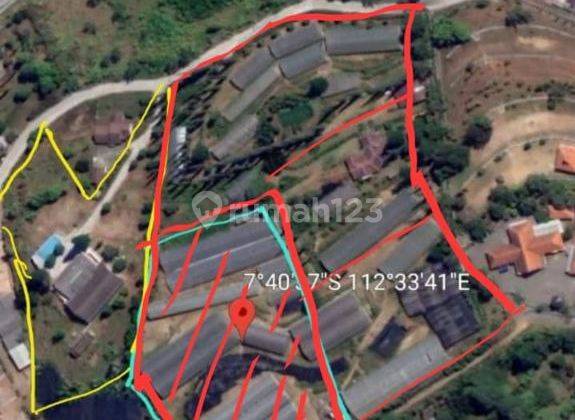 Dijual Tanah Kebun Bunga Dan Tanamannya Pacet Mojokerto  2