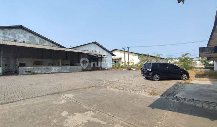 Disewakan Gudang Tengah Tambak Sawah Sidoarjo  1