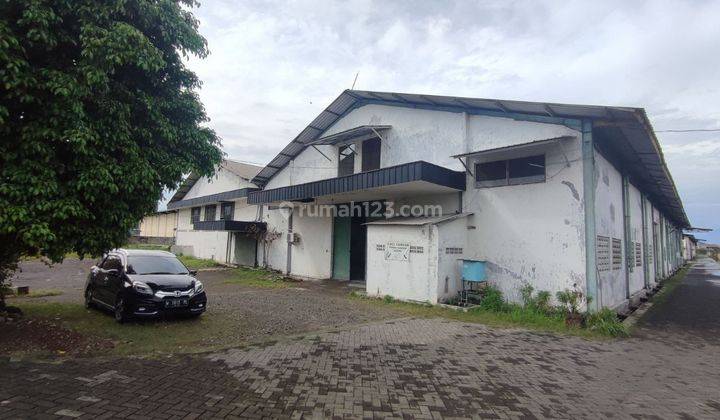 Disewakan Gudang Belakang Tambak Sawah Sidoarjo  1