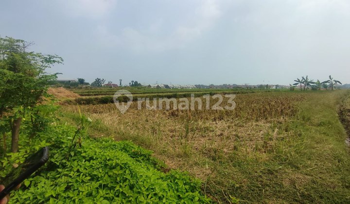 Dijual Lahan Industri Mojosari Kutorejo Mojokerto 