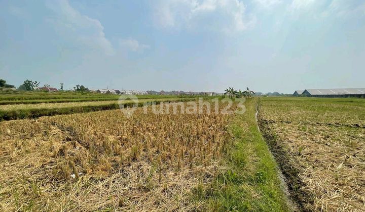 Dijual Tanah Lokasi Mojosari Mojokerto Harga Nego 
