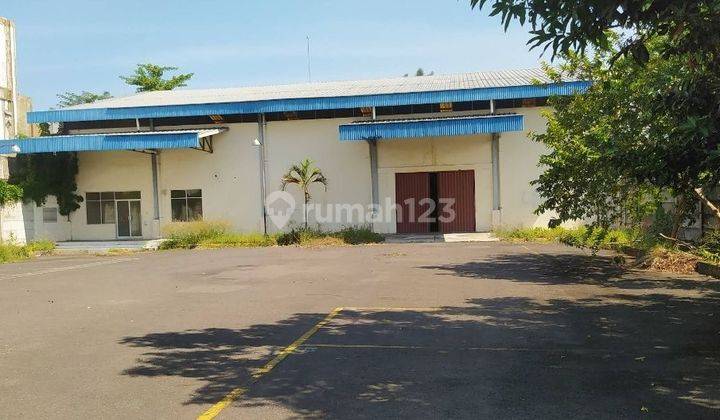 Dijual Cepat Gudang Sumbersari Jember Harga Nego  1
