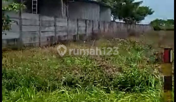 Tanah Property Jalan Provinsi Tuban Widang Tanah Property Jalan Provinsi Tuban Widang