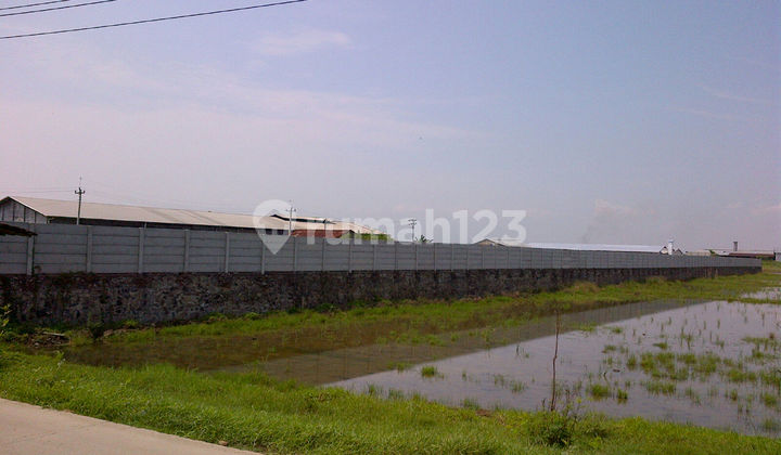 Dijual Tanah Loireng Kulon Semarang 2