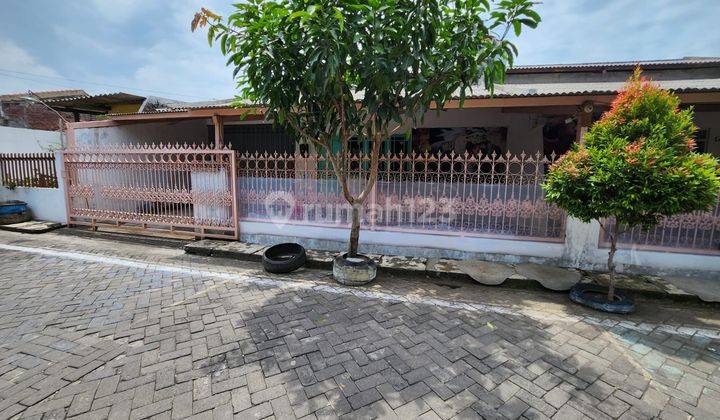 Dijual Rumah Luas Letak Strategis Di Jl. Cimanuk Raya Semarang 1