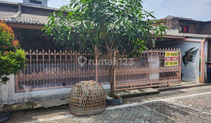 Dijual Rumah Luas Letak Strategis Di Jl. Cimanuk Raya Semarang 1