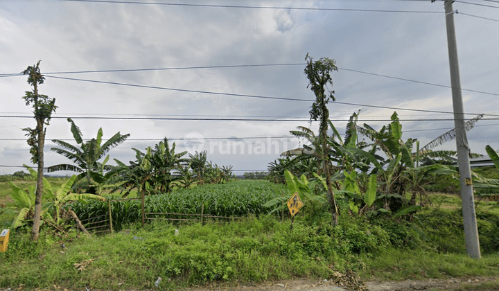 Dijual Tanah Siap Bangun Di Ds. Gubug Grobogan 1