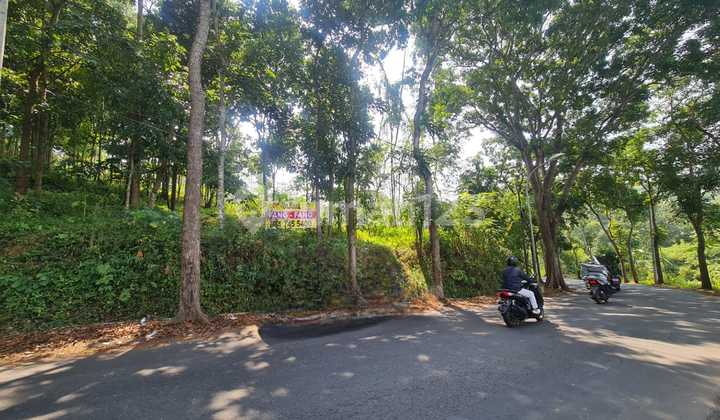 Dijual Tanah Luas Di Jl. Pramuka Semarang 1