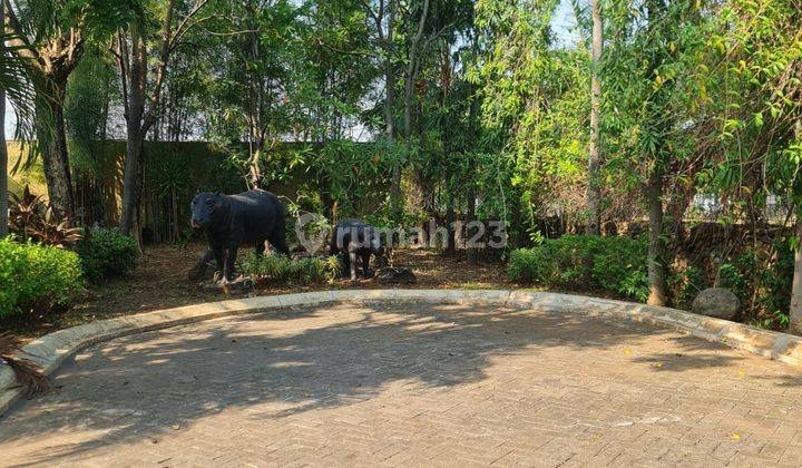 Disewakan Rumah Di Perumahan Mewah Royal Family Blok D Semarang  2