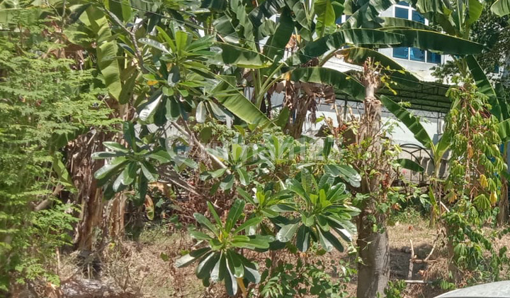 Land for Sale Near City Center on Jl. Siblat Candisari Semarang 1