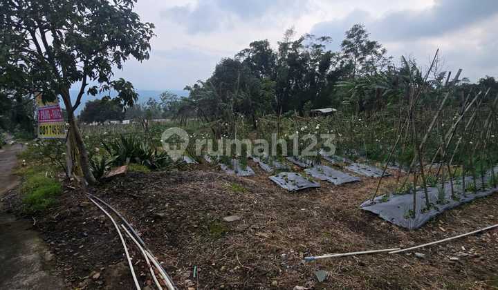 Dijual Tanah dengan View Gunung Ungaran di Nusa Indah Bandungan Semarang 1