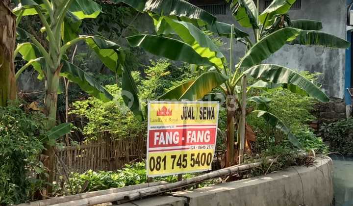 Dijual dan Disewakan Tanah di Jl Utama Jl. Gajah Raya Semarang 1