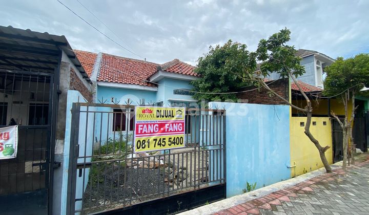 Dijual Rumah Lokasi Strategis di Jl. Emas Dempel Semarang 1