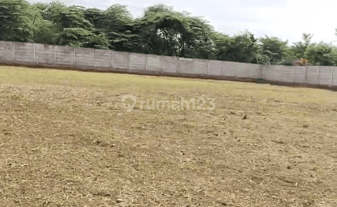 Dijual Tanah Neglasari  Luas 5565m2 Tangerang 1