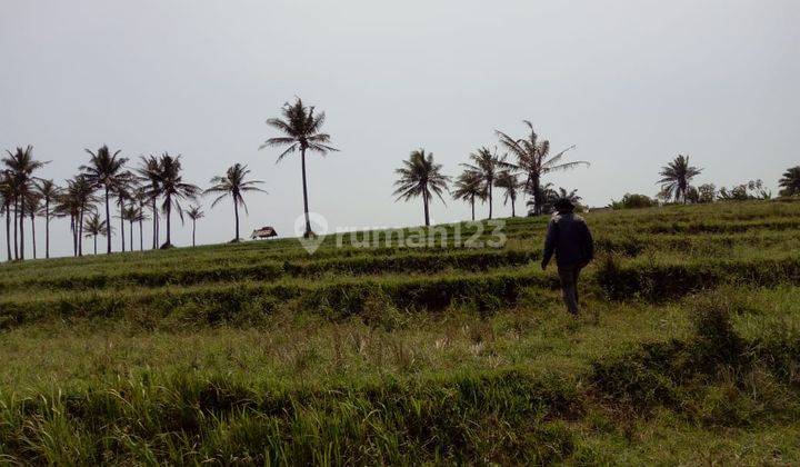 Tanah Ciraha, Lebak, Pinggir Jalan Nasional Iii 2