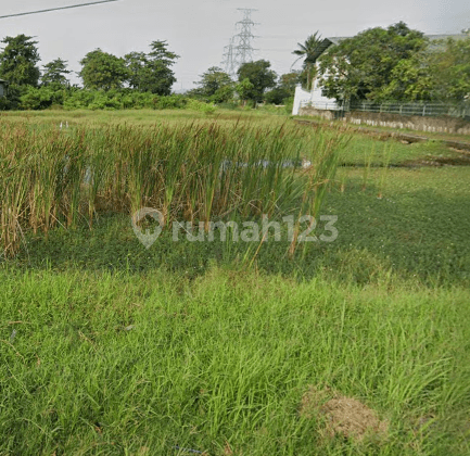 Tanah di Waruduwur Cirebon Luas 4000 M2  1