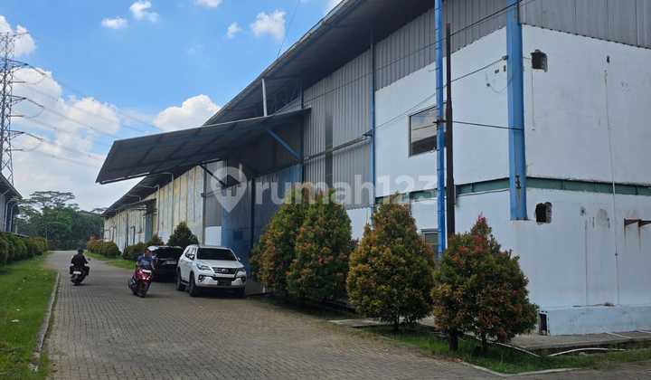 For Rent: Neat Warehouse Ready for Use in Cikupa, Tangerang, Banten