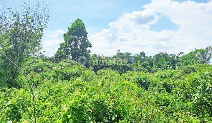 Kavling Strategis di Pasirkecapi, Maja, Lebak, Banten 1