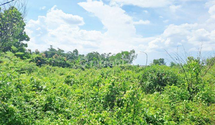 Kavling Strategis di Pasirkecapi, Maja, Lebak, Banten 2