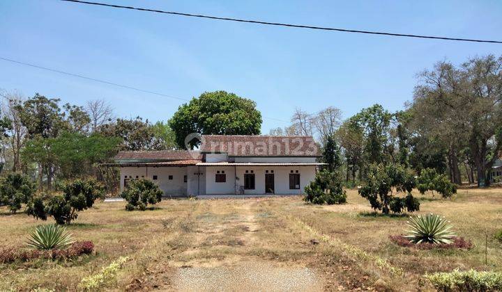 Tanah di Kawasan Industri Banyuwangi Jawa Timur  1