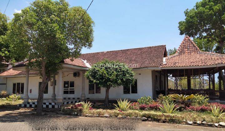 Tanah di Kawasan Industri Banyuwangi Jawa Timur  2