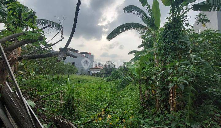 Tanah Kavling di Ketapang Cipondoh Tangerang Strategis  1