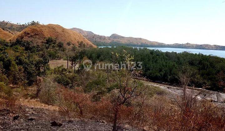 Lokasi Dalam Kota Dengan View Laut Yang Indah 2