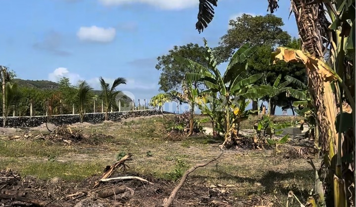 Dijual Tanah Lokasi Strategis Dekat Dengan Pantai Di Pantai Bumbang, Lombok Tengah, NTB