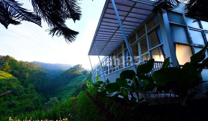 Lembang - Dijual Lahan Hijau dan Bangunan di Bukit Cikahuripan Lembang 10.0 M²