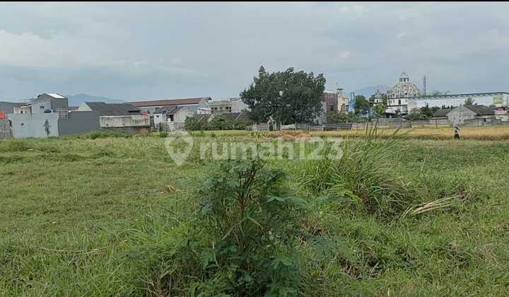 Jual Tanah 112M2 Caringin Jatinangor Dkt Unpad
