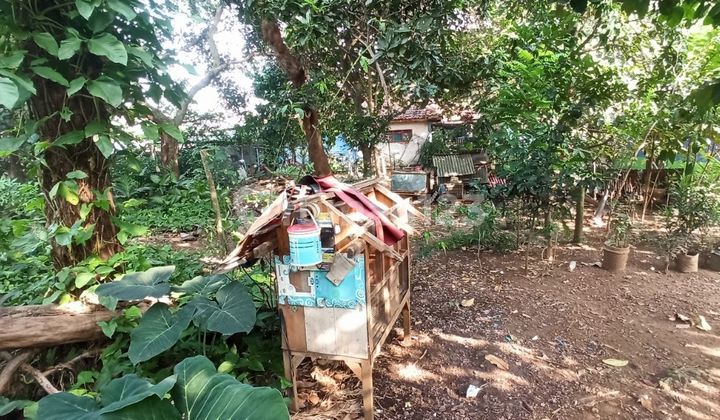 Tanah 500m2 Cocok Untuk Lahan Parkir dan Kontrakan Di Citayam 4
