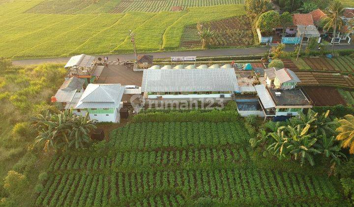 Rumah Villa Dan Rest Area Di Gunung Bunder Tenjolaya Bogor 2