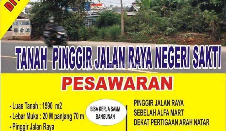 Tanah Pinggir Jalan Raya Negeri Sakti Dekat Dengan Banadarlampung 1