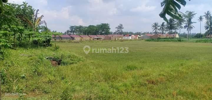 Tanah Murah Di Natar Cocok Untuk Rumah Subsidi 2