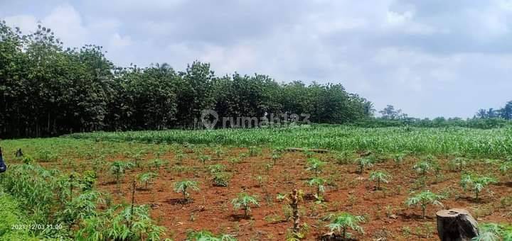 Tanah Murah Di Natar Cocok Untuk Rumah Subsidi 1