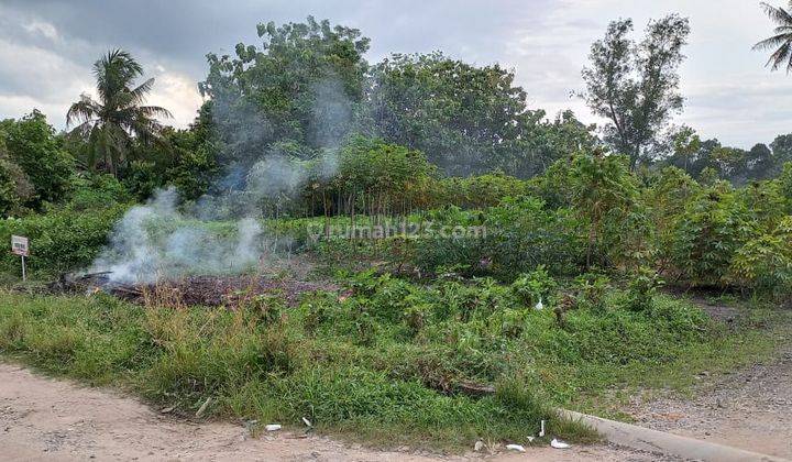 Tanah di Bandar Jaya Cocok Untuk Perumahan, Gudang Dan Sebaianya 1