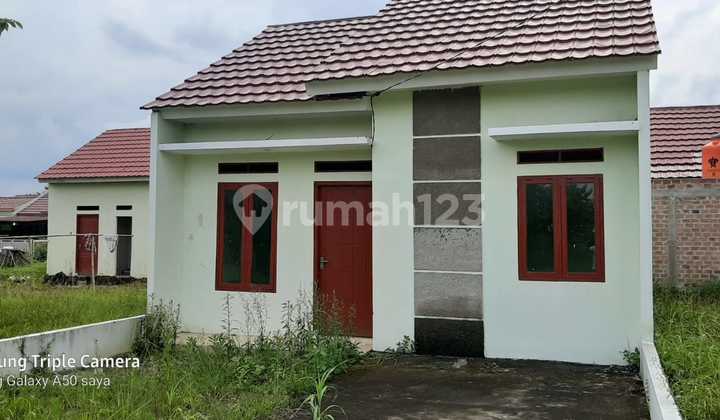 Rumah Baru 1