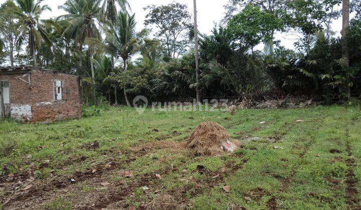 Tanah di Negeri Sakti Dekat Dengan Bandar Lampung Siap Bangun 2