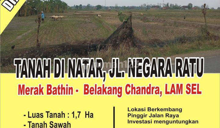 Tanah Lebar Dinatar Cocok Untuk Perumahan Subsidi 1