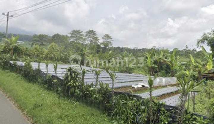 dijual tanah luas daerah limpakuwus