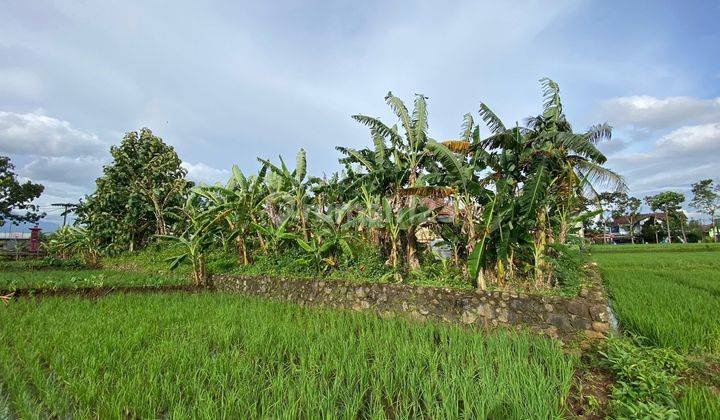 Tanah Kering Di Dekat Rs. Islam PurwokertO 3