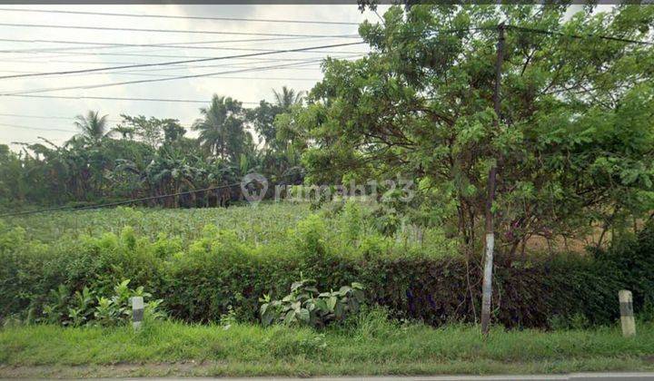 Tanah Kering Luas Siap Bangun di Daerah Banyumas 2