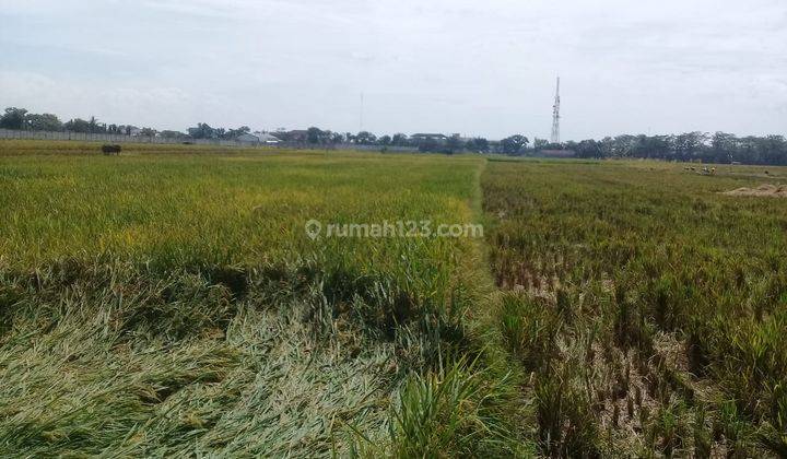 Tanah SHM Luas di Daerah Berkoh Kota Purwokerto 1