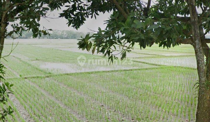 Tanah SHM Luas di Daerah Berkoh Kota Purwokerto 2