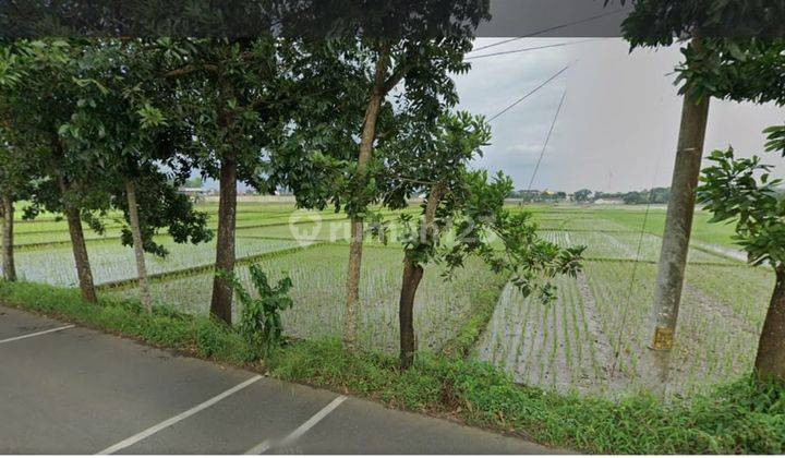 Tanah SHM Luas di Daerah Berkoh Kota Purwokerto 4