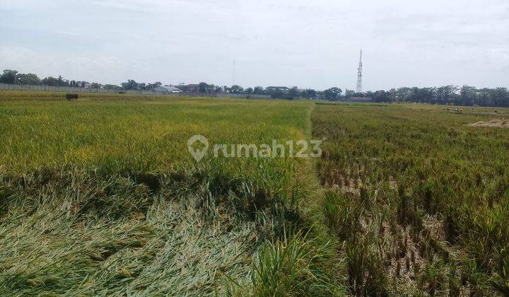 Tanah SHM Luas di Daerah Berkoh Kota Purwokerto 6