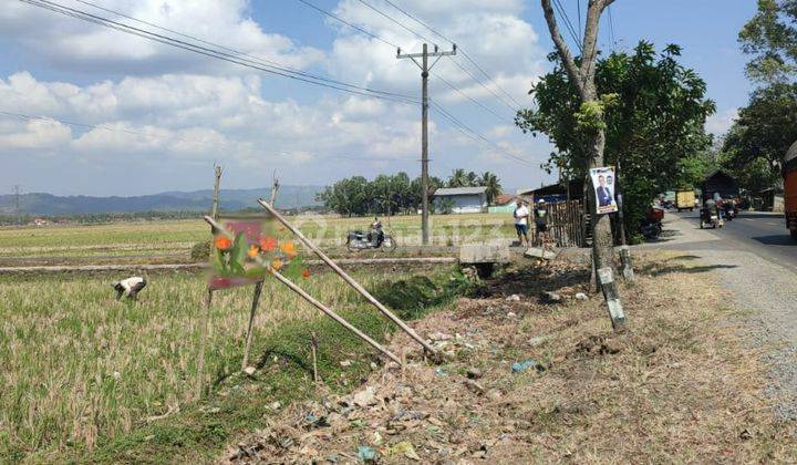 Dijual Tanah Hijau di Desa Menganti Banyumas  2