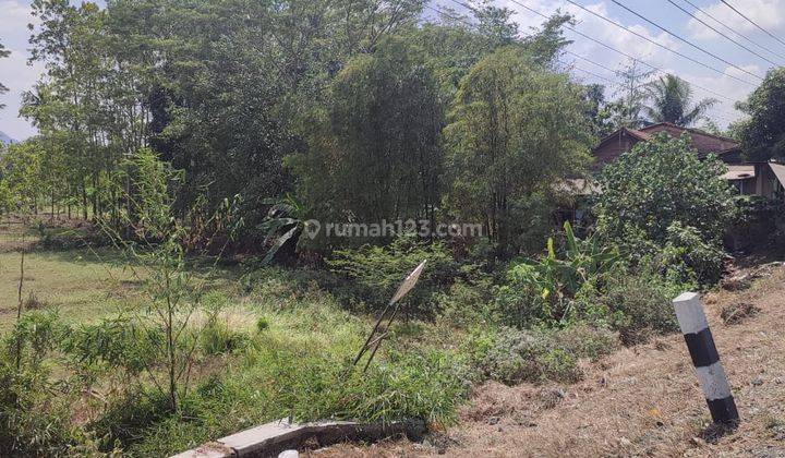 Dijual Tanah Darat, Zona Kuning di Daerah Rawalo, Banyumas 2