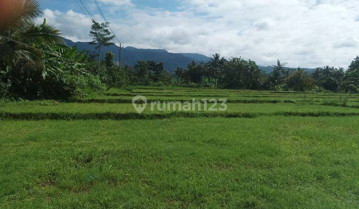 Dijual Tanah Sawah Pinggir Jalan Daerah Pekuncen, Banyumas 1